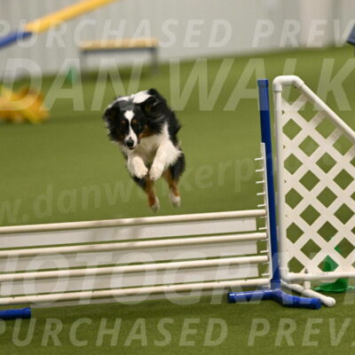 Lily-Claudia-Brydon-07792