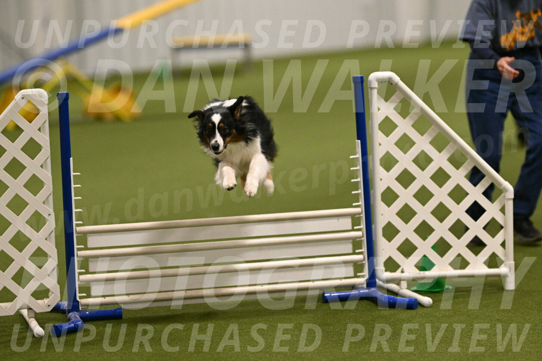 Lily-Claudia-Brydon-07793