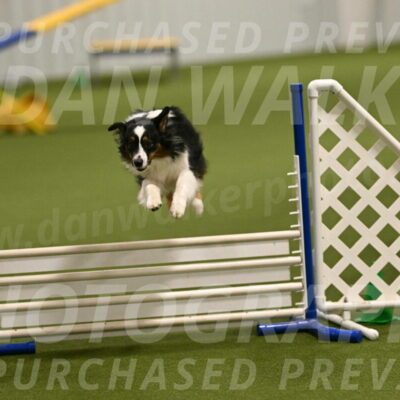 Lily-Claudia-Brydon-07793