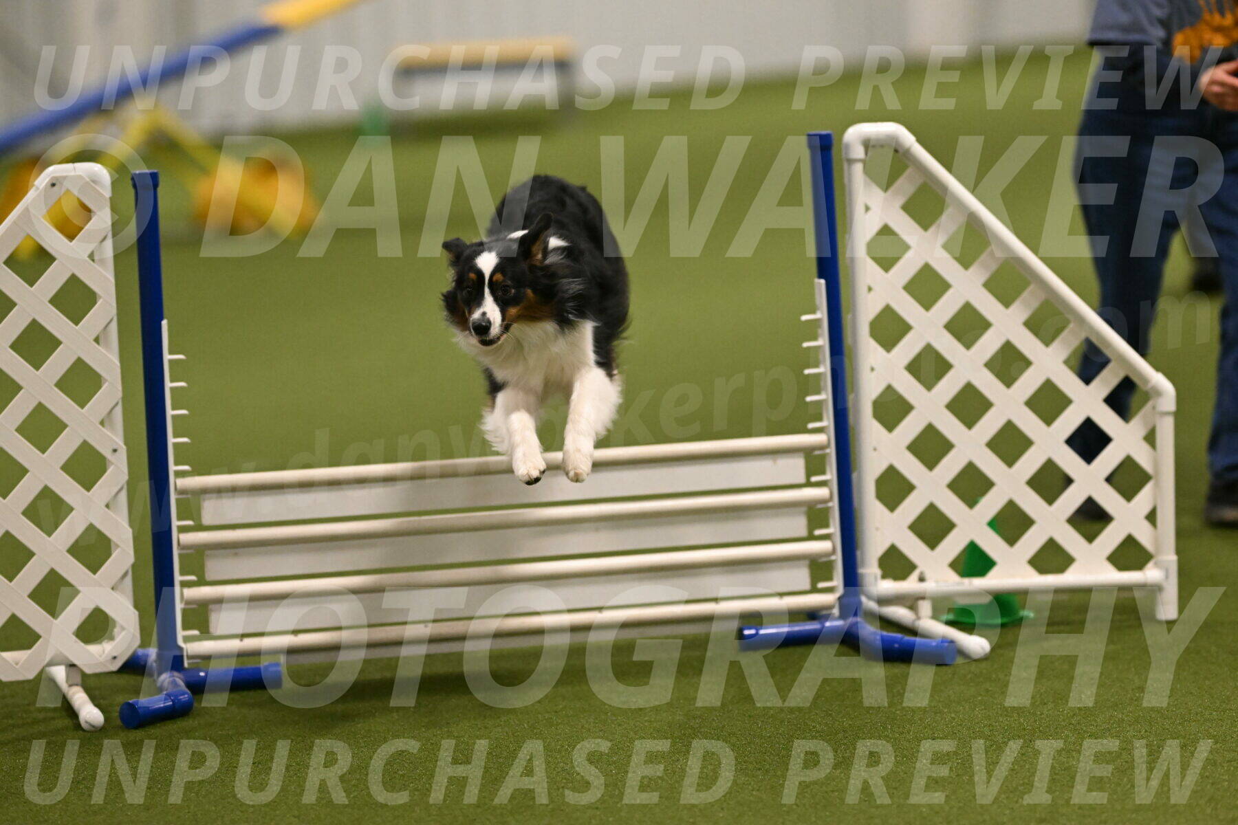 Lily-Claudia-Brydon-07794