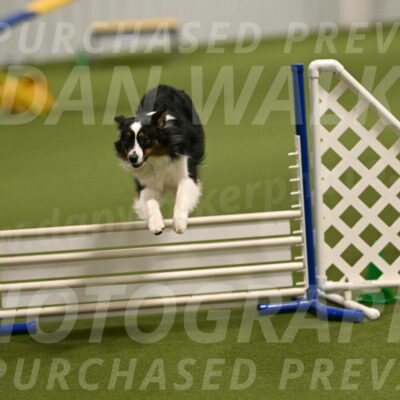 Lily-Claudia-Brydon-07794