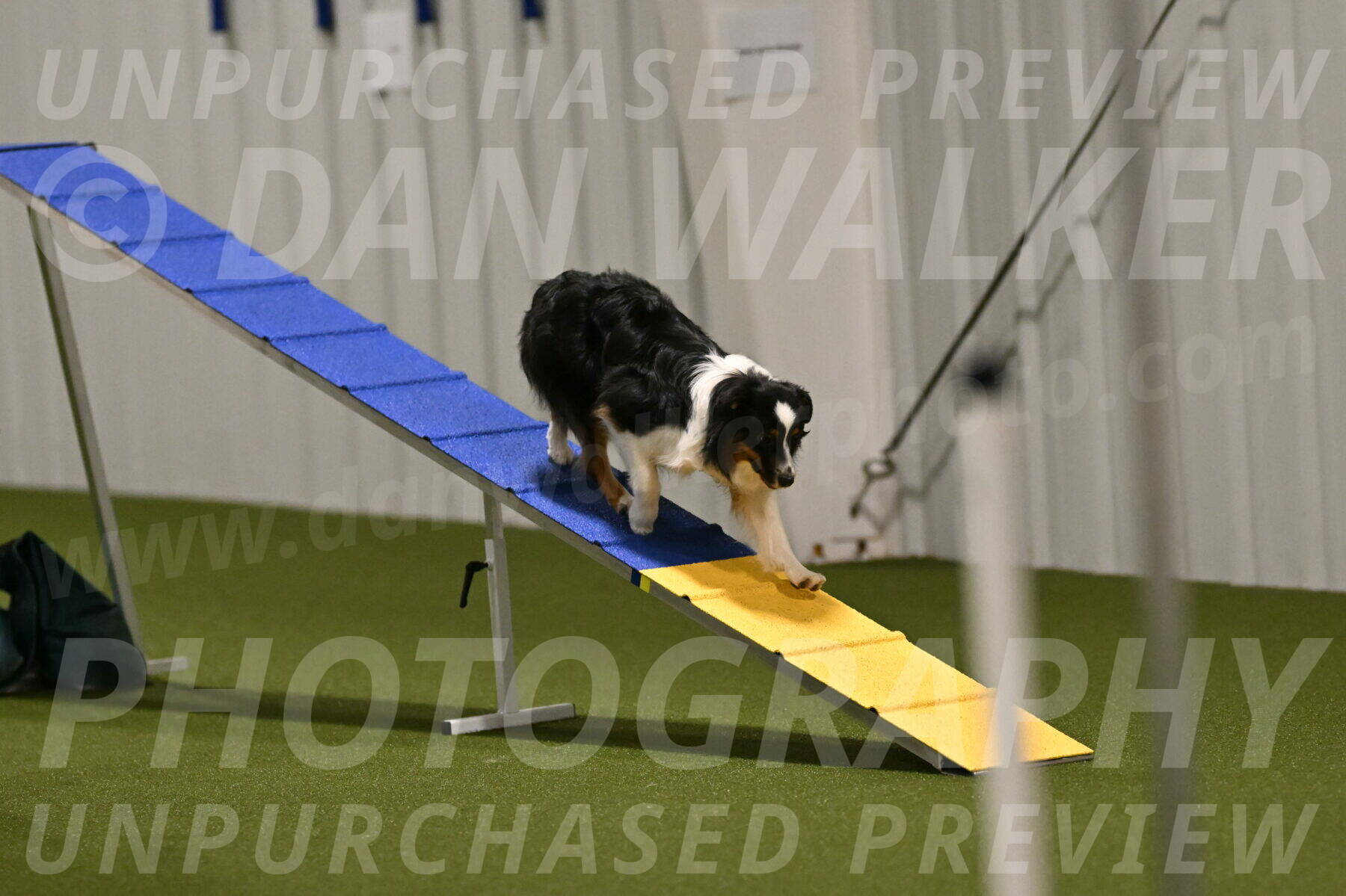 Lily-Claudia-Brydon-07795