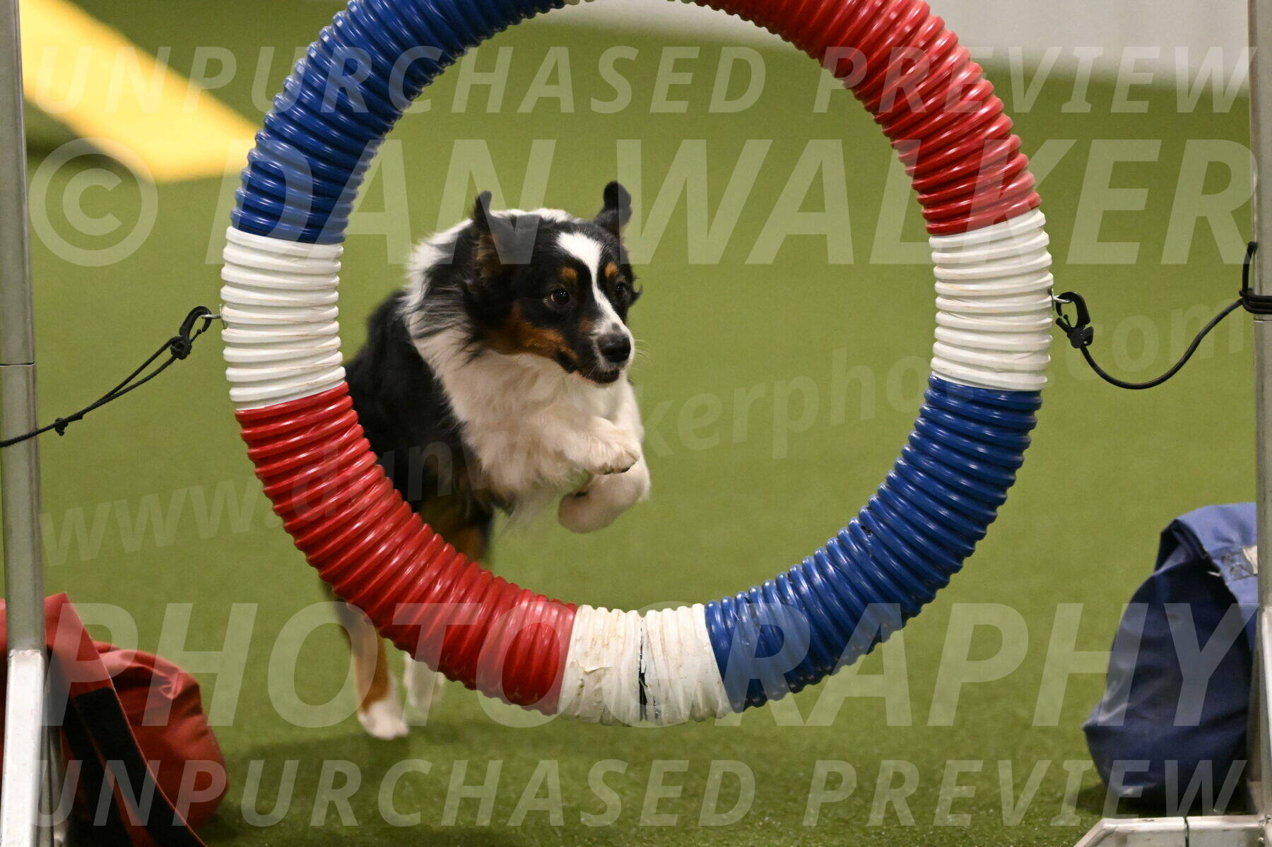 Lily-Claudia-Brydon-07796