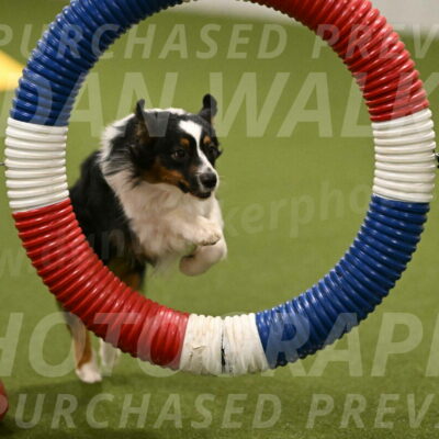 Lily-Claudia-Brydon-07796