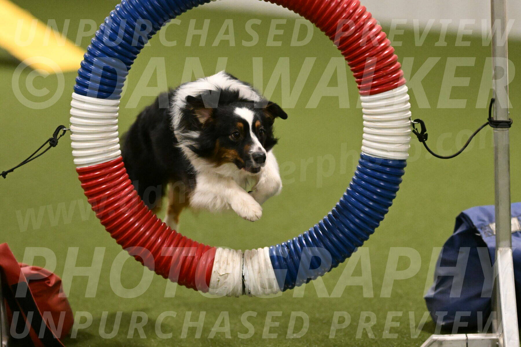 Lily-Claudia-Brydon-07797