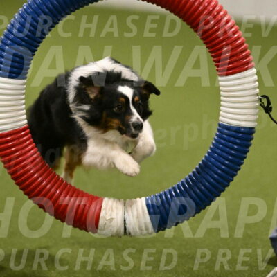 Lily-Claudia-Brydon-07797