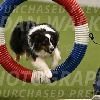 Lily-Claudia-Brydon-07798