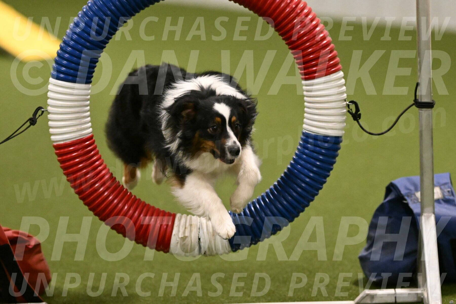 Lily-Claudia-Brydon-07798