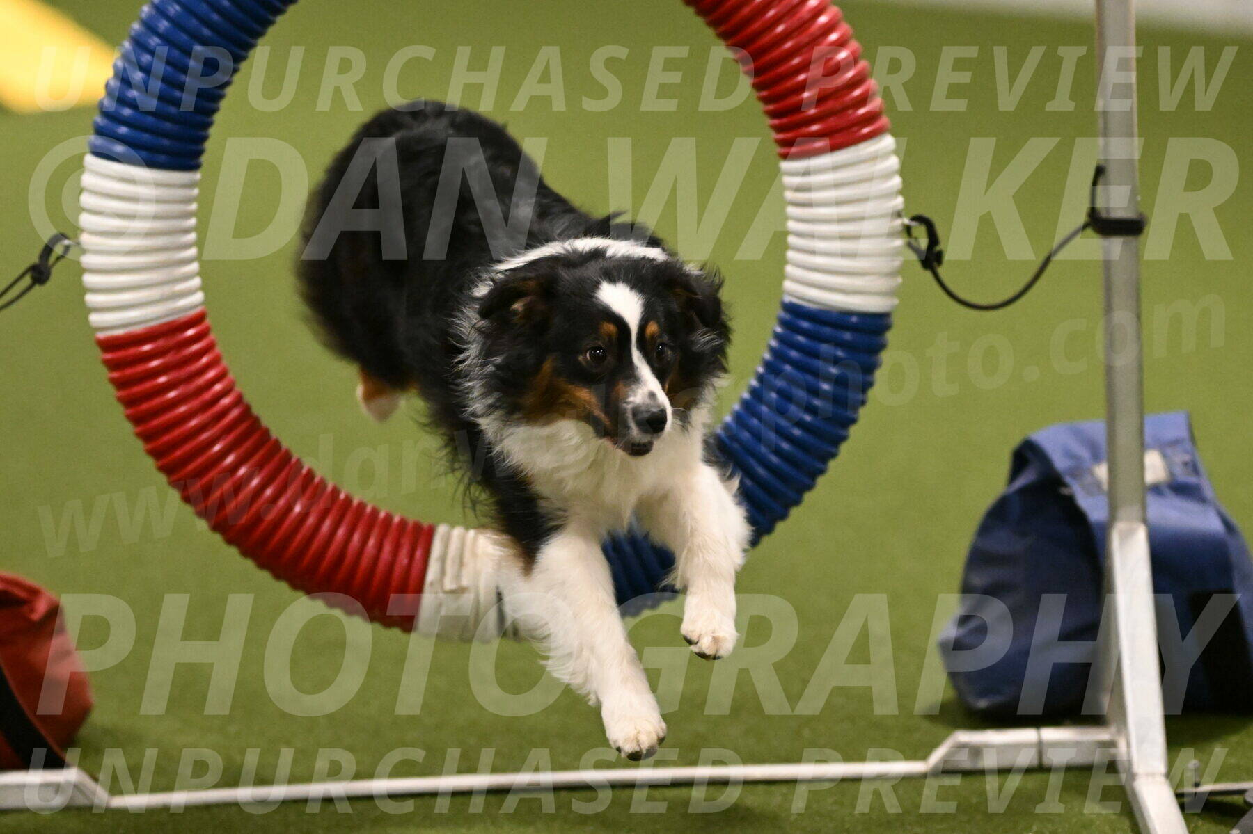 Lily-Claudia-Brydon-07799