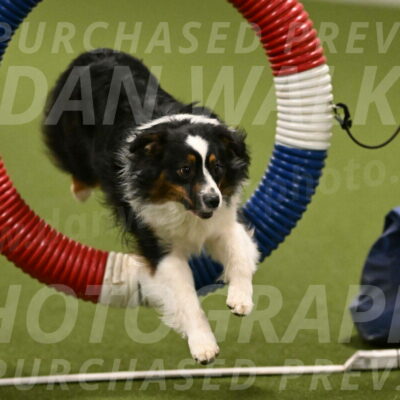 Lily-Claudia-Brydon-07799