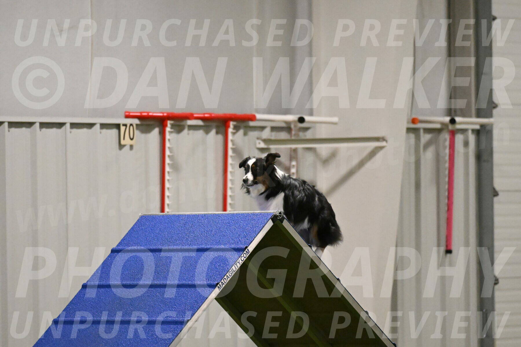 Lily-Claudia-Brydon-07800