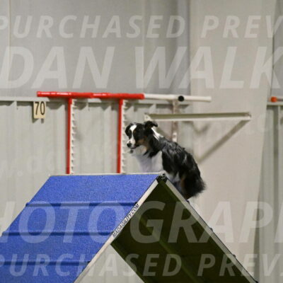 Lily-Claudia-Brydon-07801