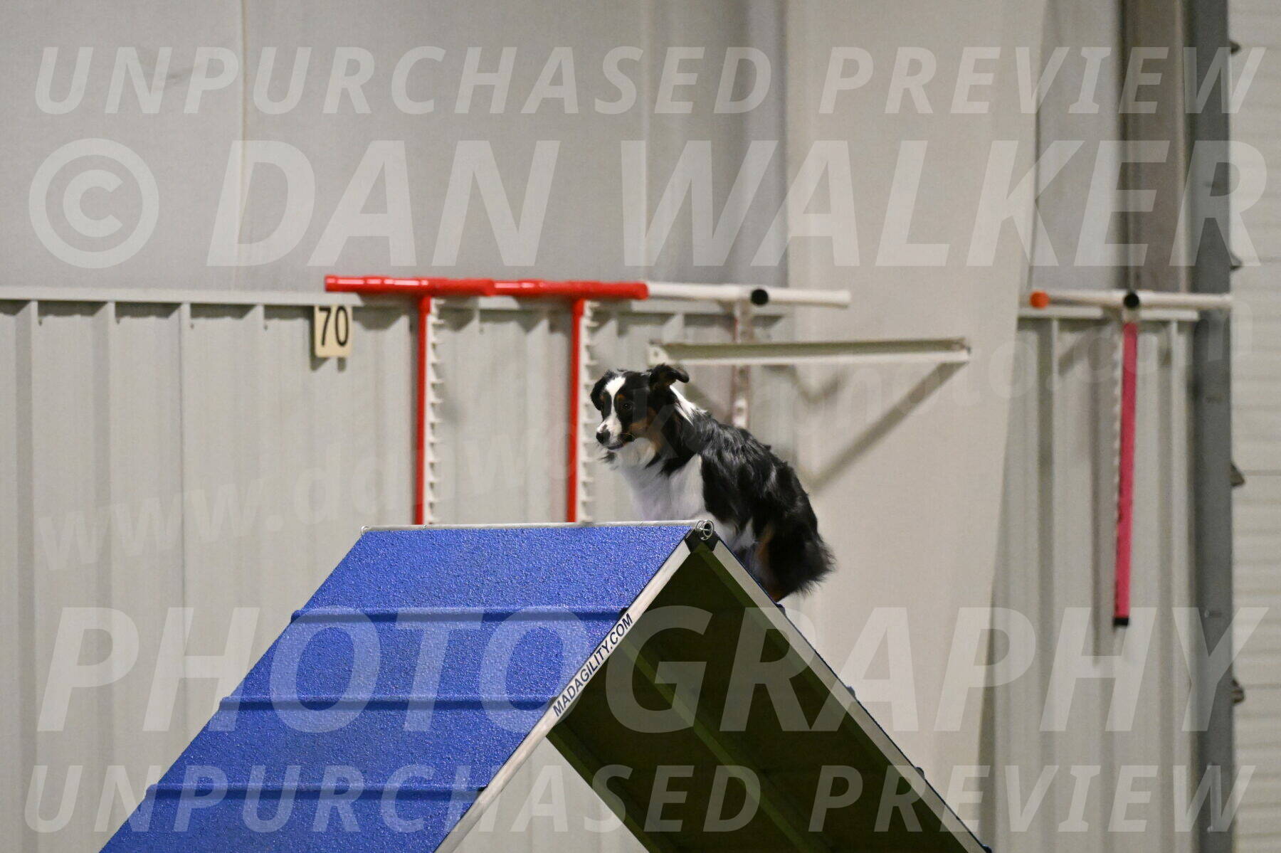 Lily-Claudia-Brydon-07801