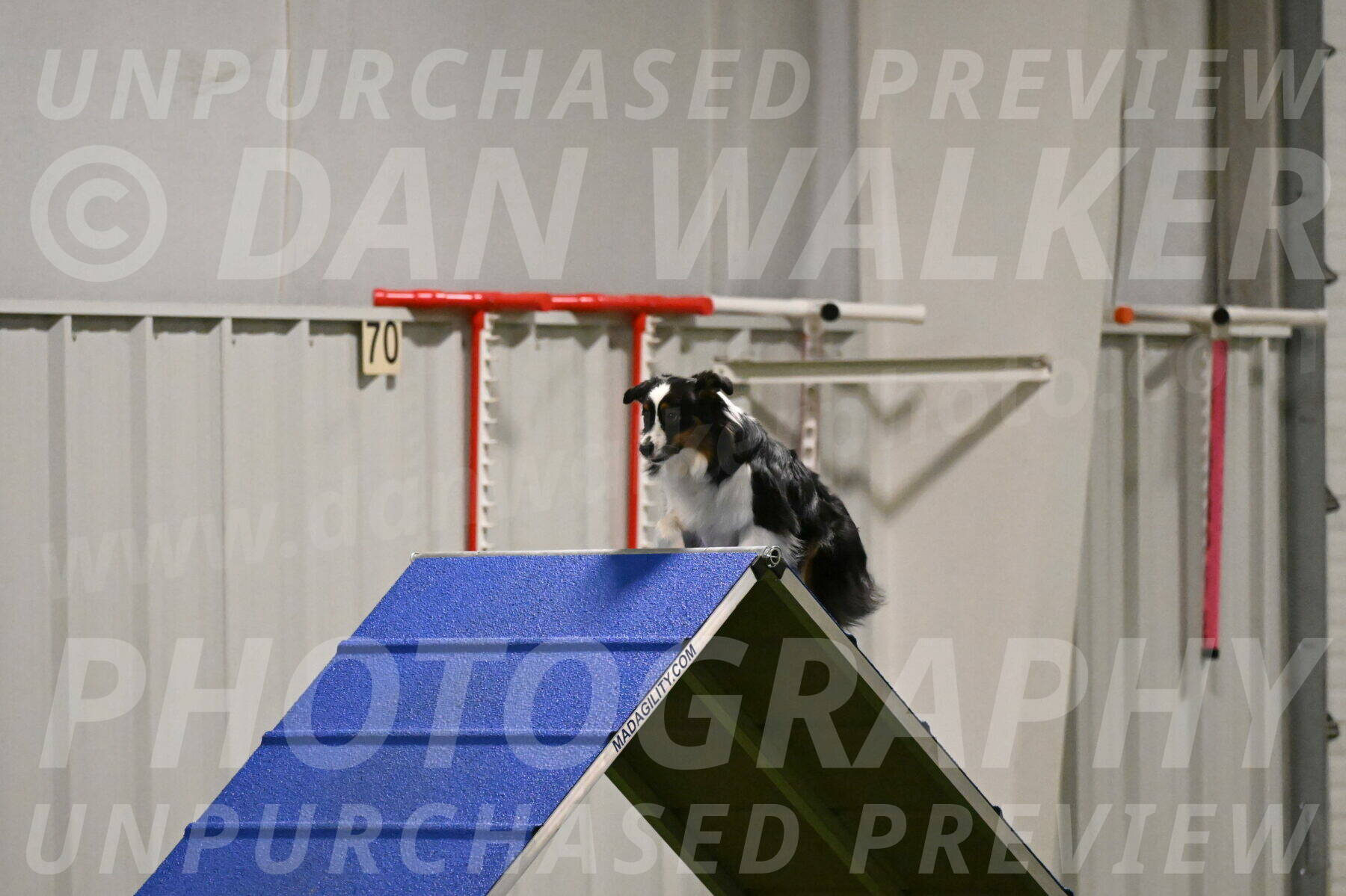 Lily-Claudia-Brydon-07802