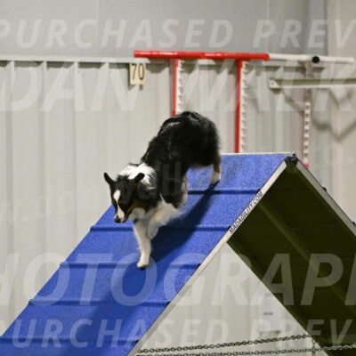 Lily-Claudia-Brydon-07803