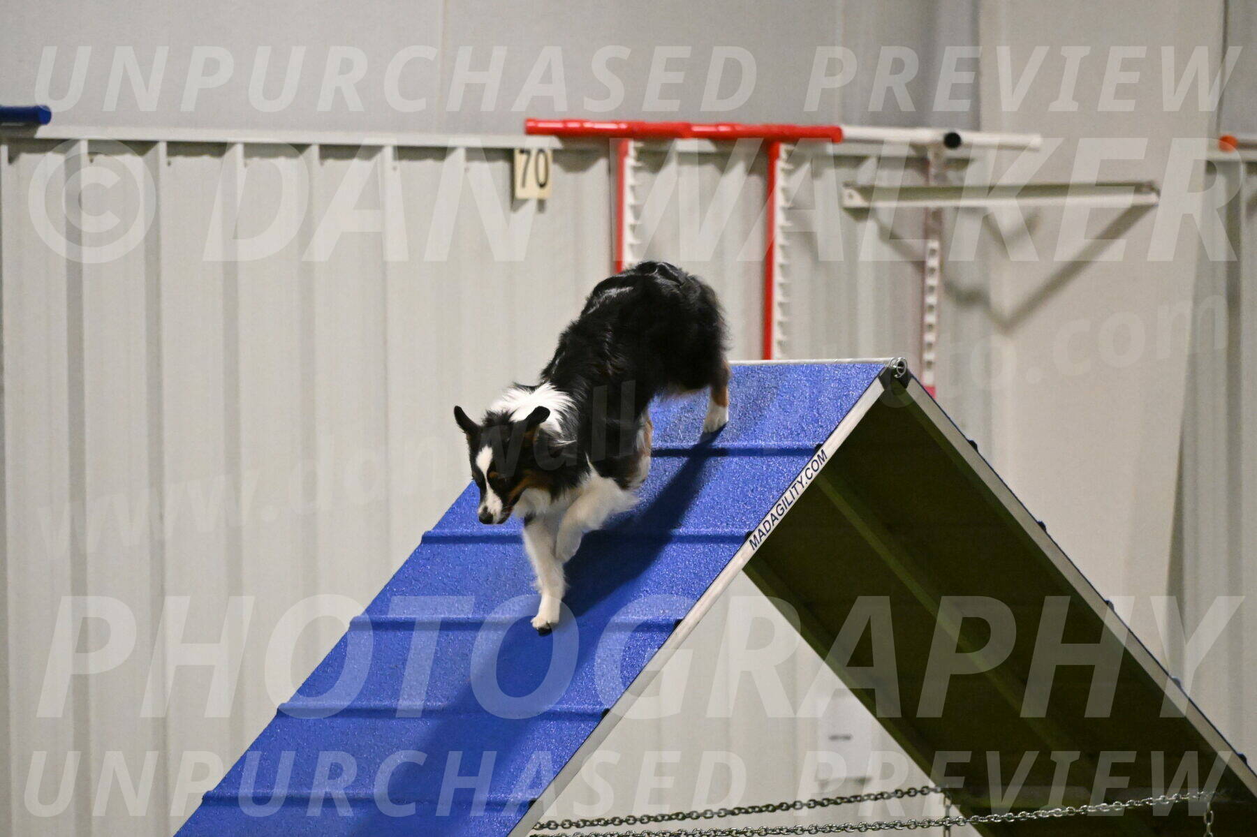 Lily-Claudia-Brydon-07803