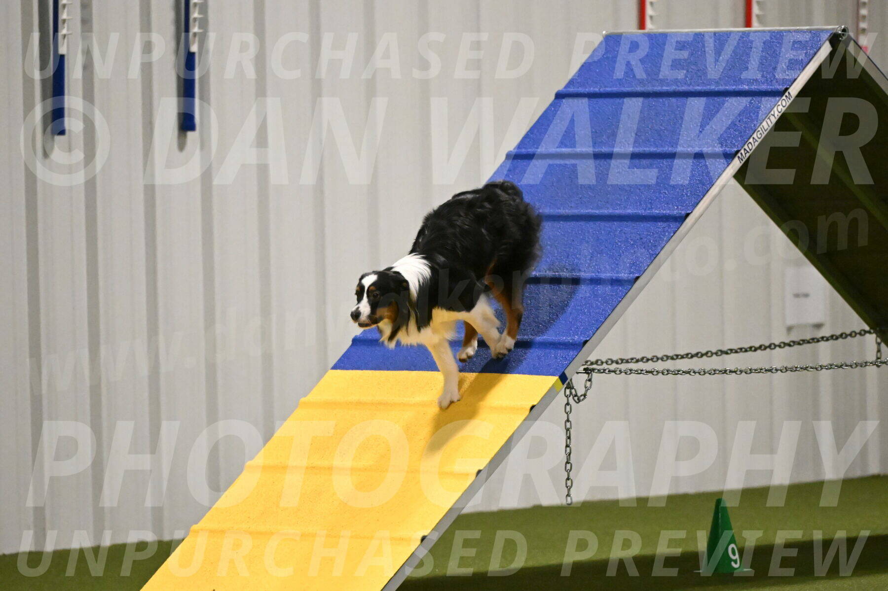 Lily-Claudia-Brydon-07804