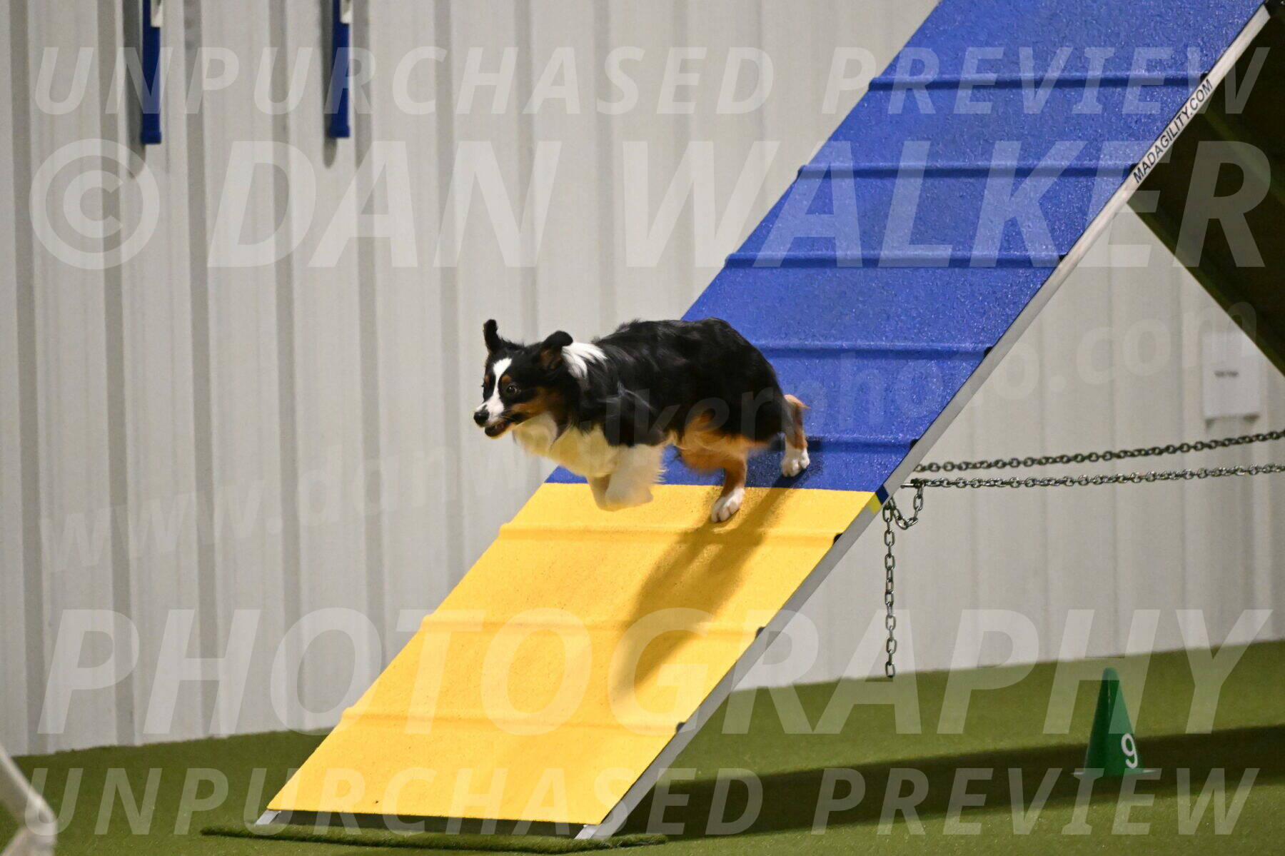 Lily-Claudia-Brydon-07805