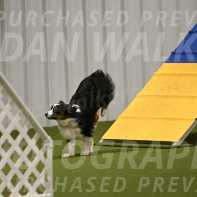 Lily-Claudia-Brydon-07806