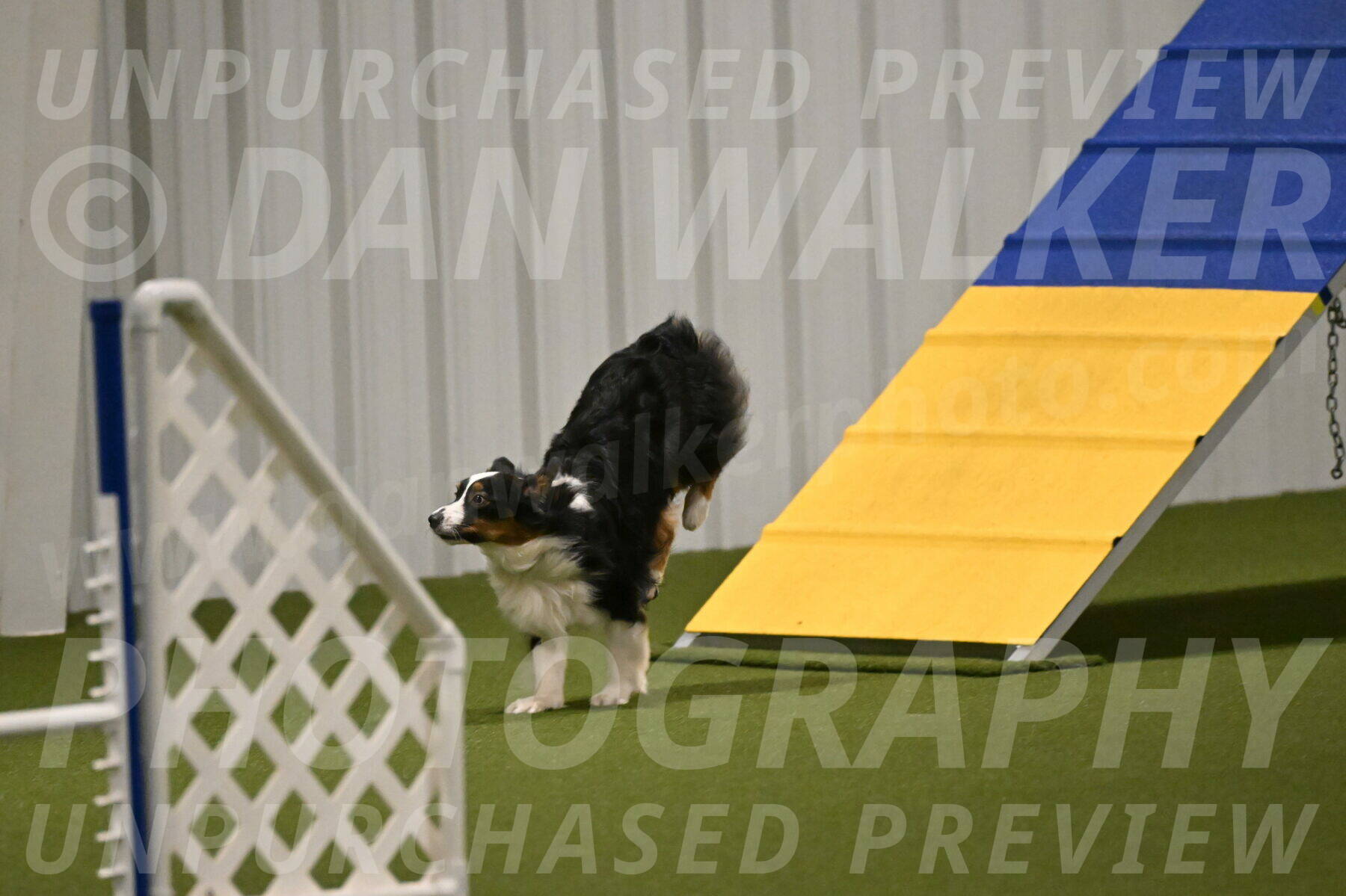 Lily-Claudia-Brydon-07806