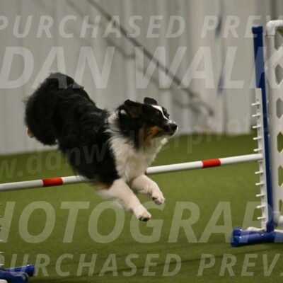 Lily-Claudia-Brydon-07807