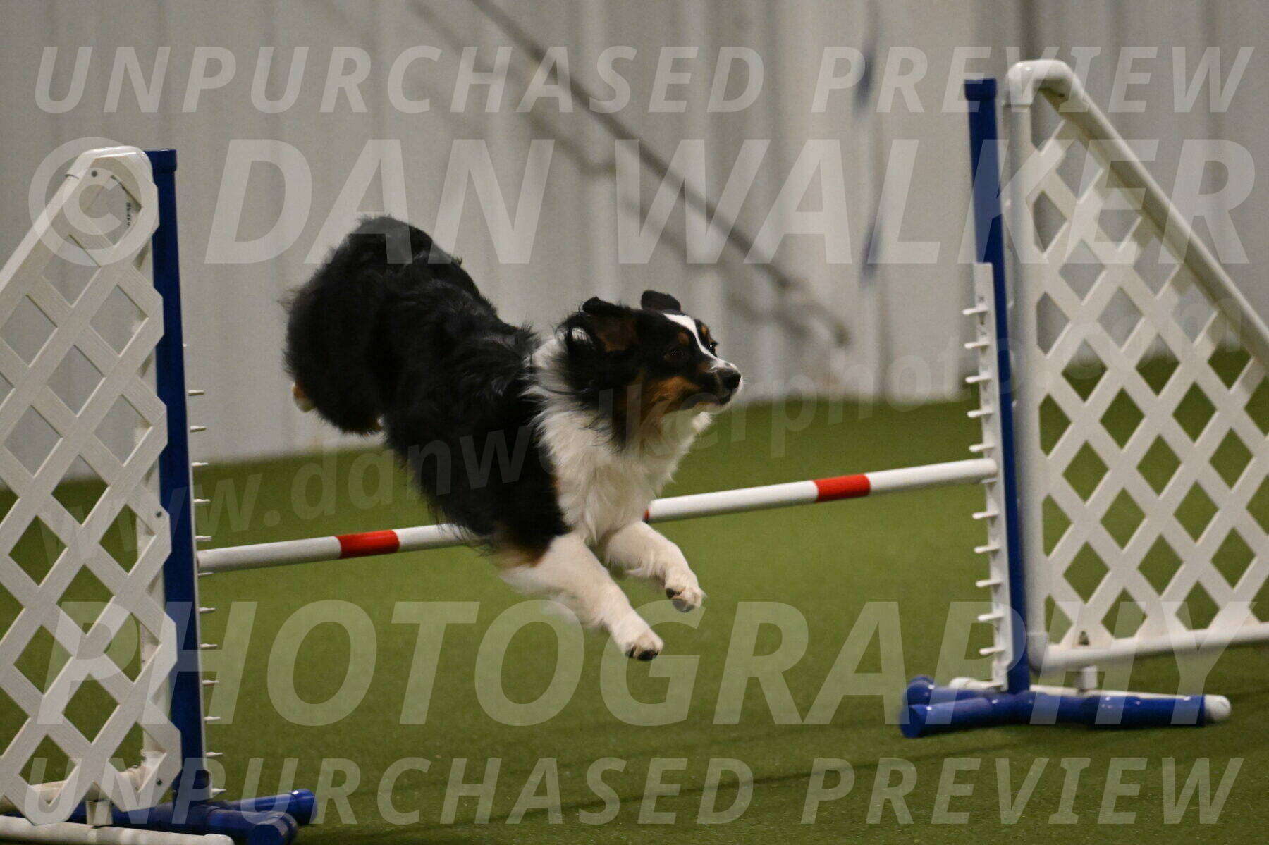 Lily-Claudia-Brydon-07807