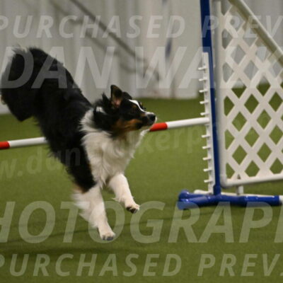 Lily-Claudia-Brydon-07808