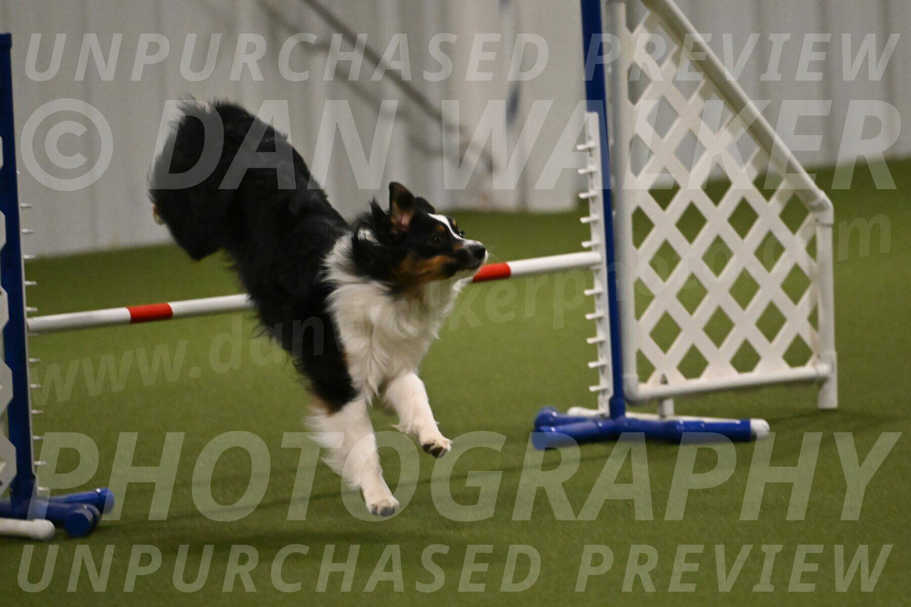 Lily-Claudia-Brydon-07808