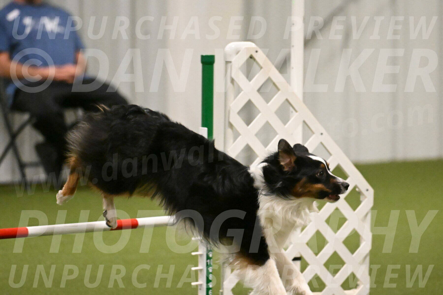 Lily-Claudia-Brydon-07809