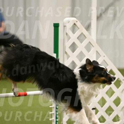 Lily-Claudia-Brydon-07809