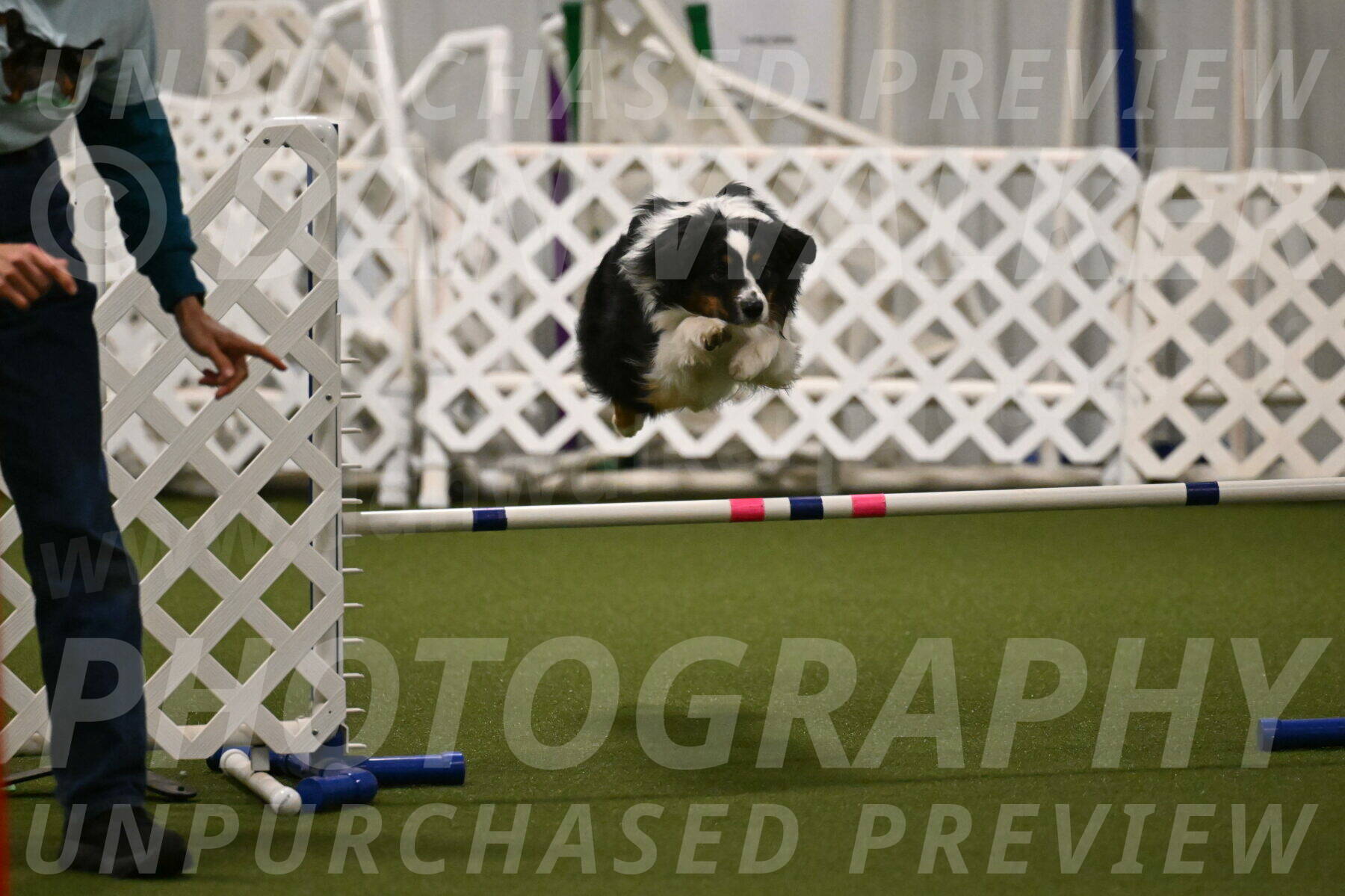 Lily-Claudia-Brydon-07810