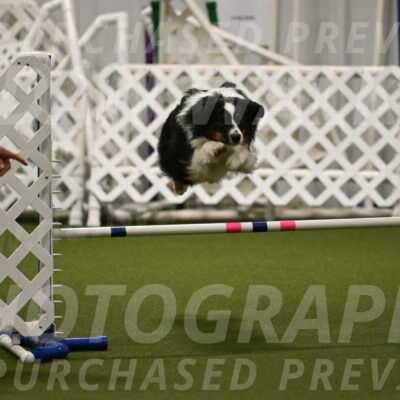 Lily-Claudia-Brydon-07810