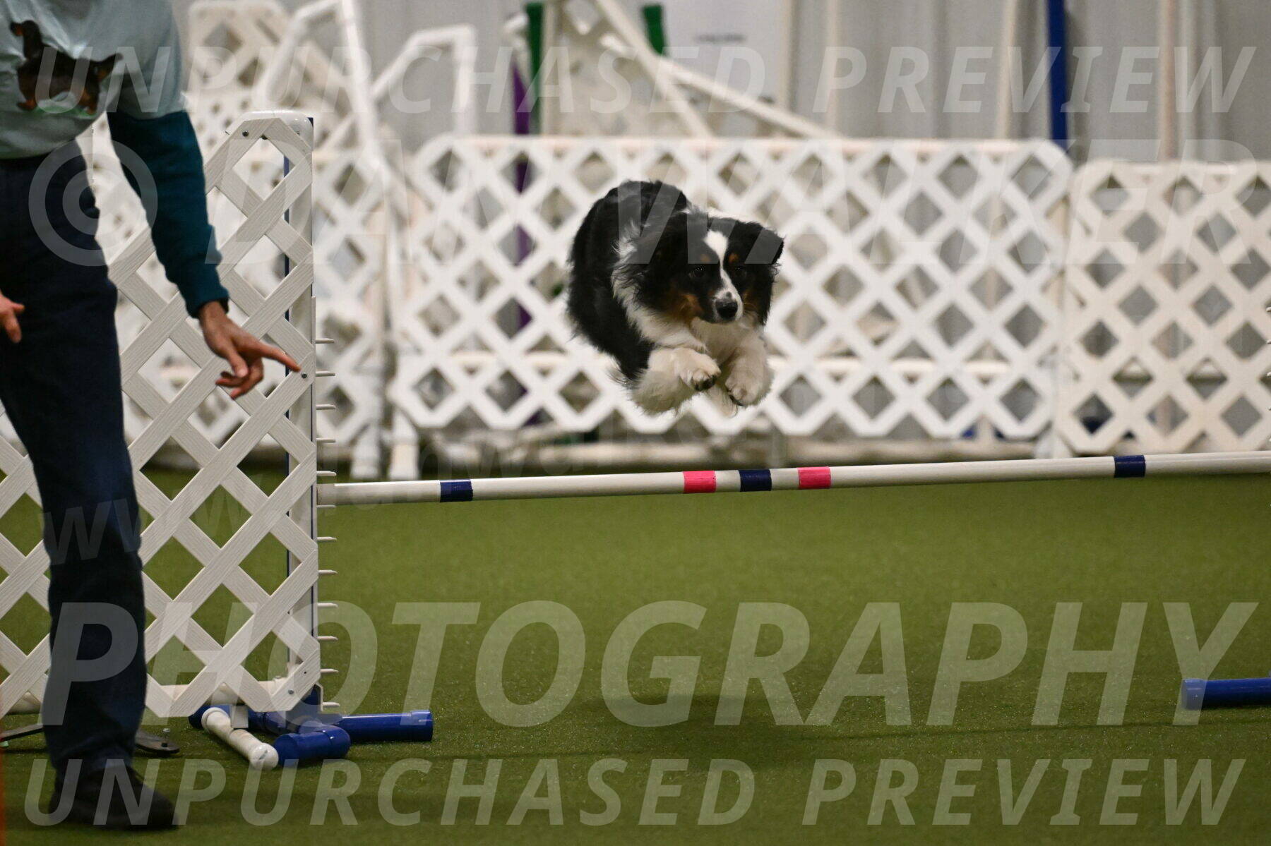 Lily-Claudia-Brydon-07811