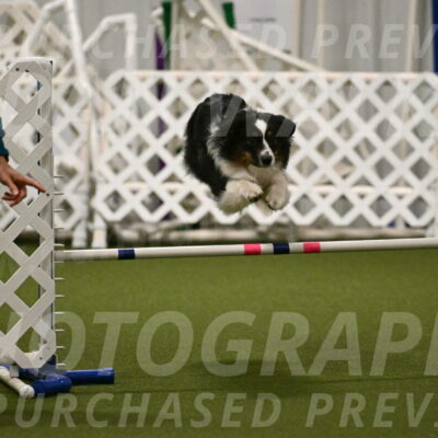 Lily-Claudia-Brydon-07811