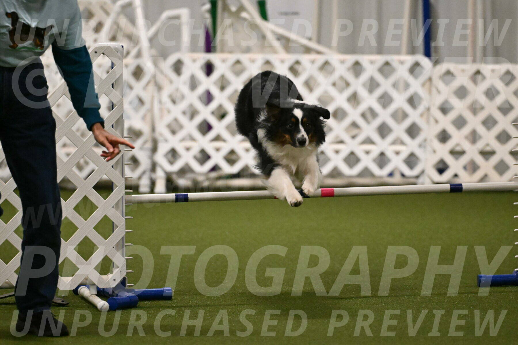 Lily-Claudia-Brydon-07812