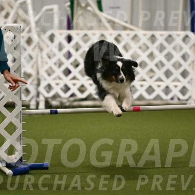 Lily-Claudia-Brydon-07812