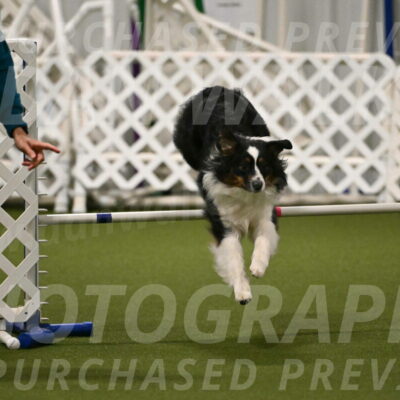 Lily-Claudia-Brydon-07813