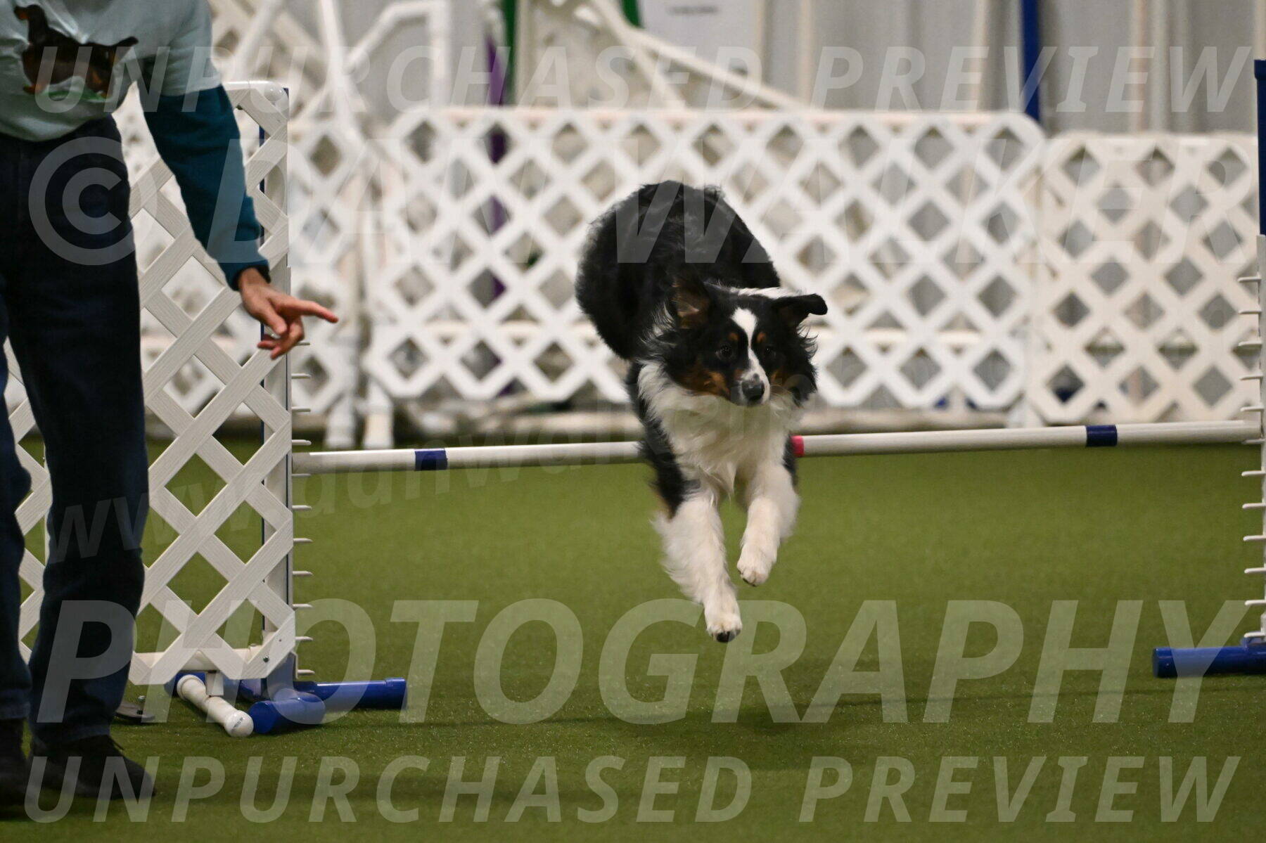 Lily-Claudia-Brydon-07813