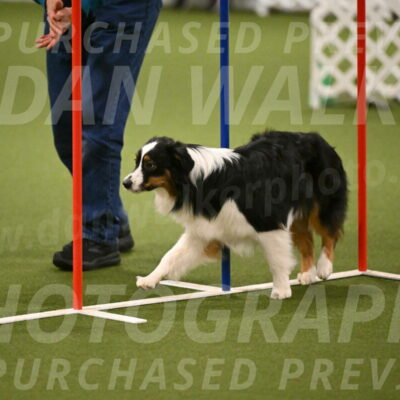 Lily-Claudia-Brydon-07814