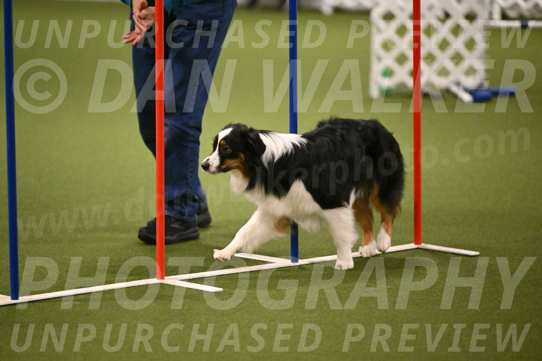 Lily-Claudia-Brydon-07814