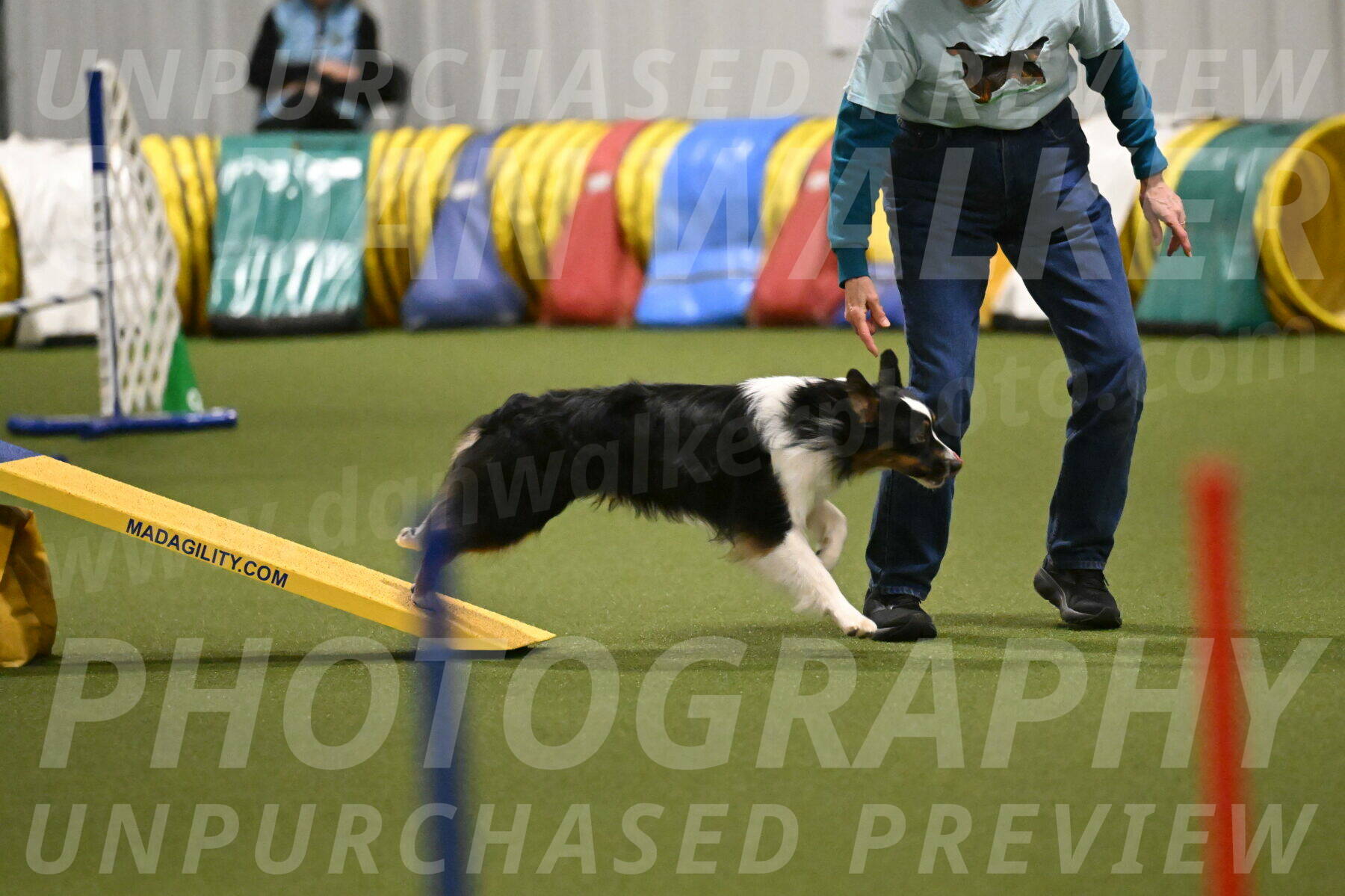 Lily-Claudia-Brydon-07815