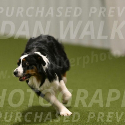 Lily-Claudia-Brydon-07820