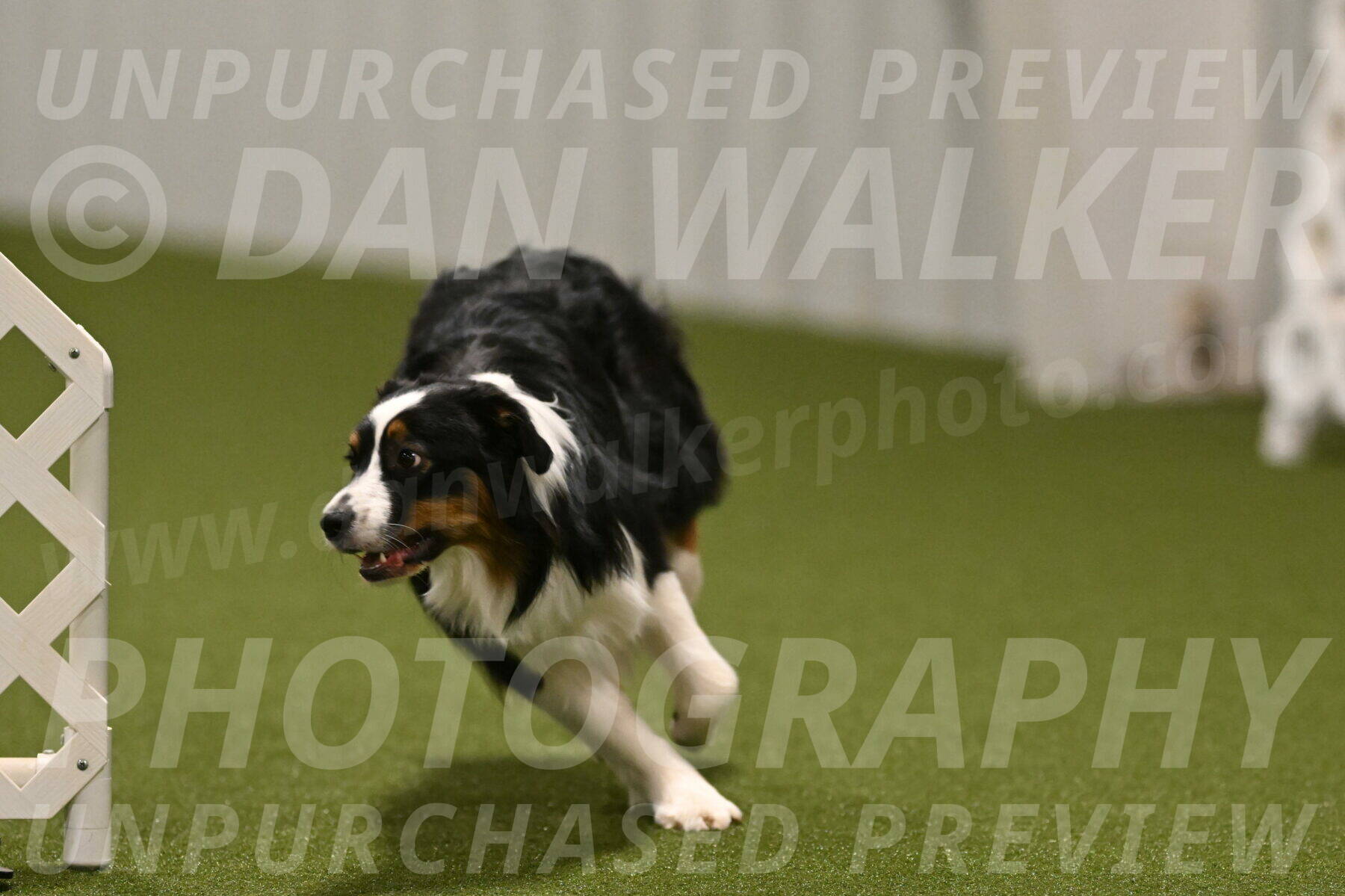 Lily-Claudia-Brydon-07820