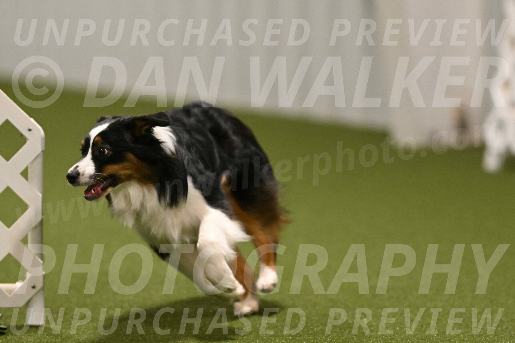 Lily-Claudia-Brydon-07821