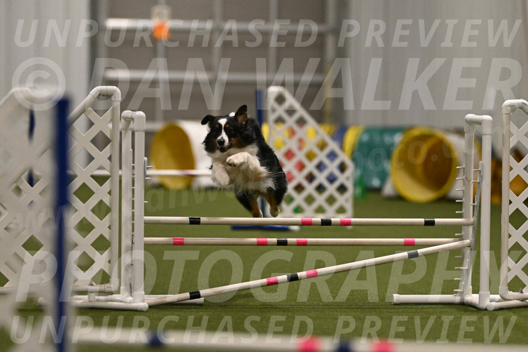 Lily-Claudia-Brydon-07822