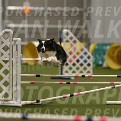 Lily-Claudia-Brydon-07823