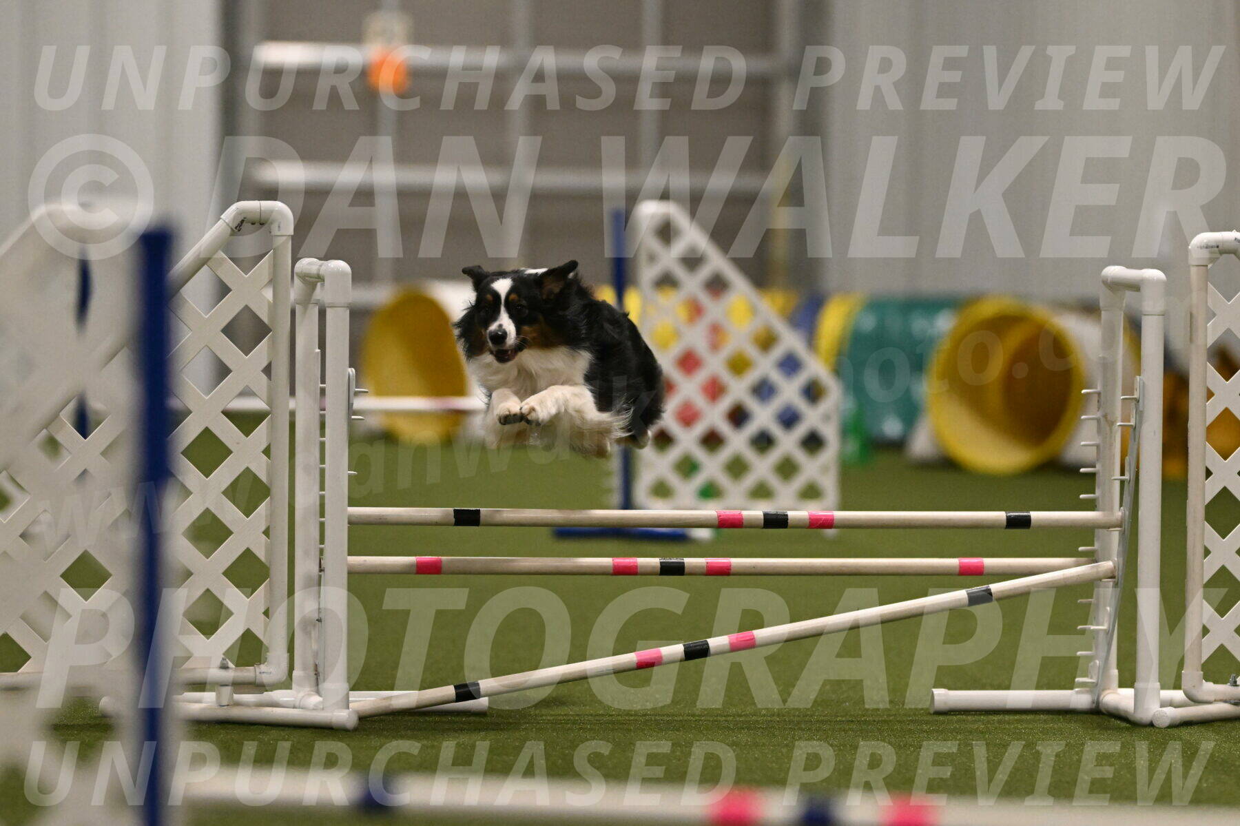 Lily-Claudia-Brydon-07823