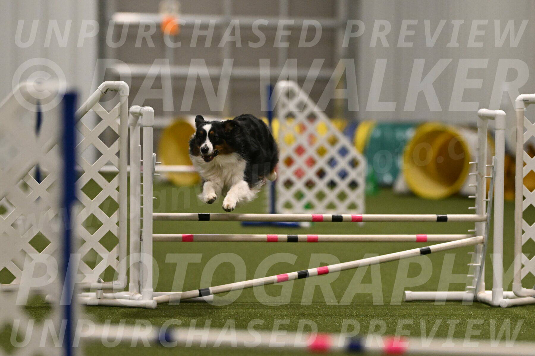 Lily-Claudia-Brydon-07824