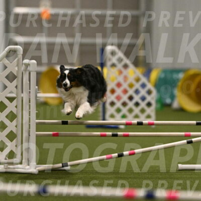 Lily-Claudia-Brydon-07824