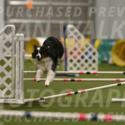 Lily-Claudia-Brydon-07825